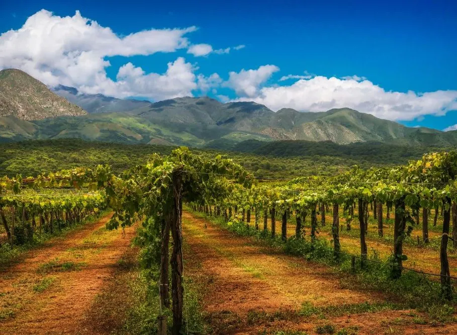 Argentina and Andean Frontiers Discovery