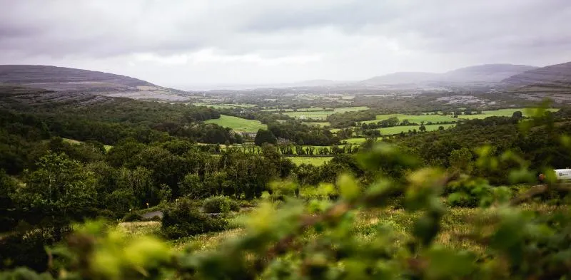 Private Journey to the Gardens of Ireland in Autumn