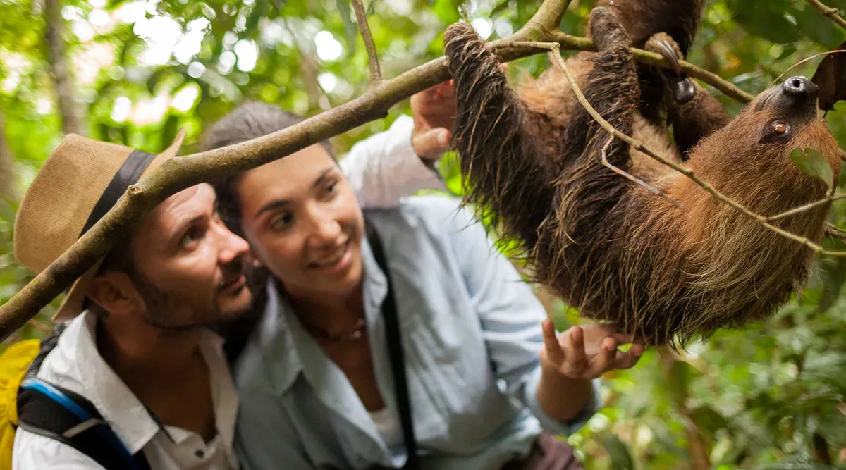 Ultimate Amazon River Cruise Explore Pacaya Samiria & Machu Picchu Adventure