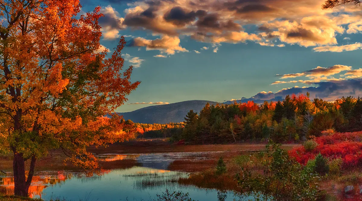 New England Fall Foliage and Coastal Getaway Self Drive Explorer