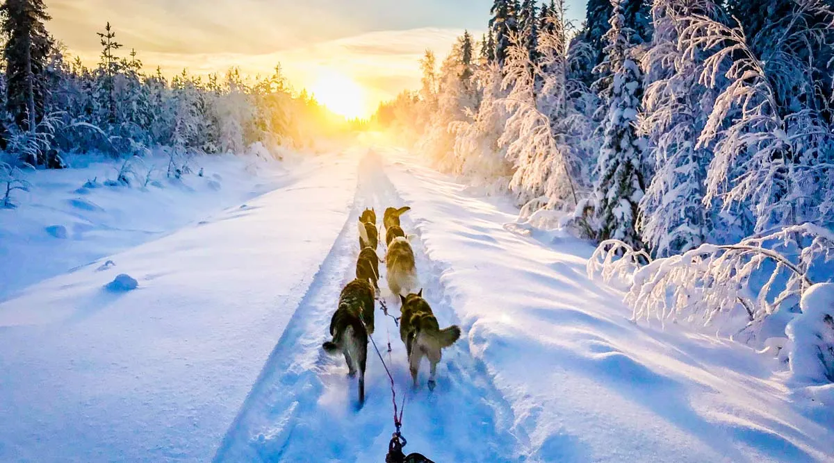 Finland and Sweden Winter Lapland Private Journey