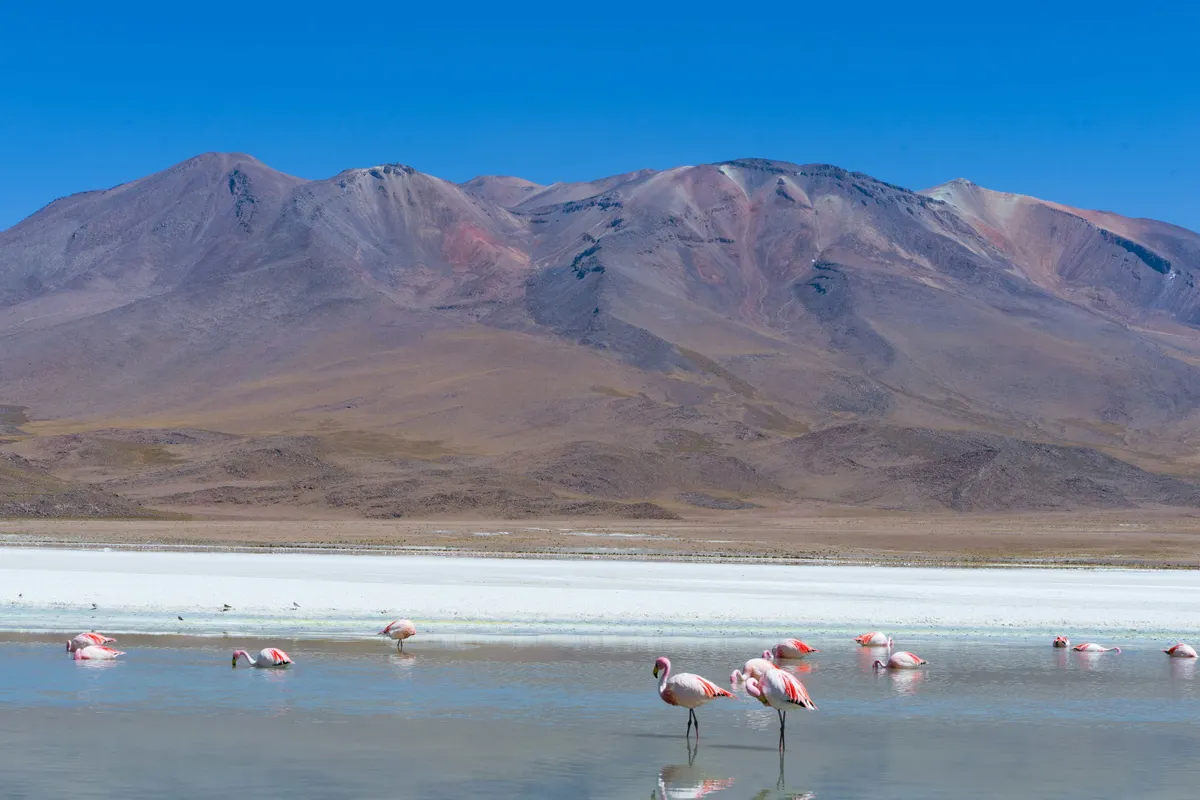 Astral Adventure in the Atacama Desert