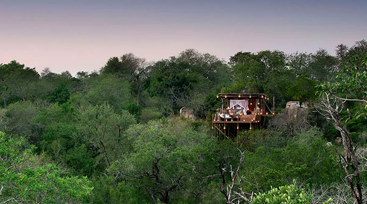 Luxury Kruger Safari