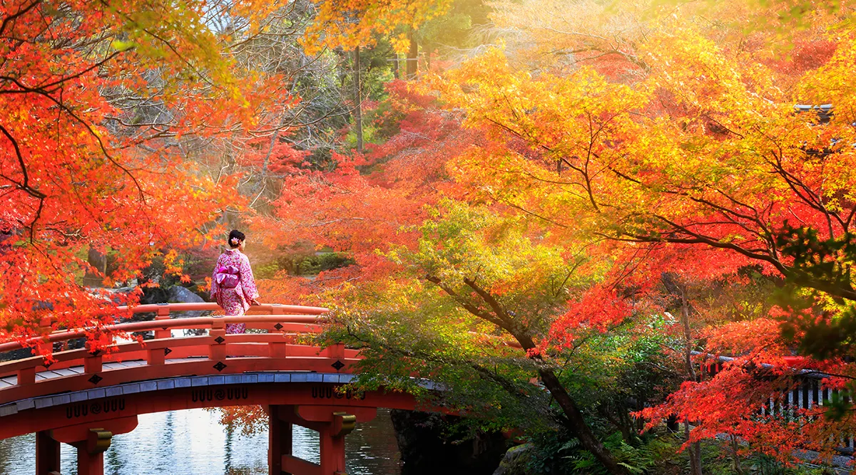 Kyoto Hiroshima and Osaka Explorer