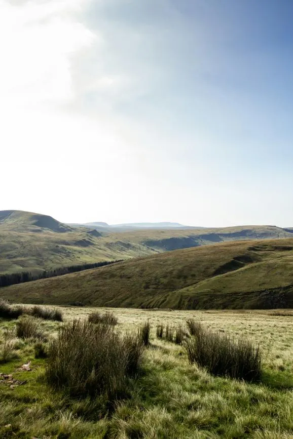 Wales Culinary Journey
