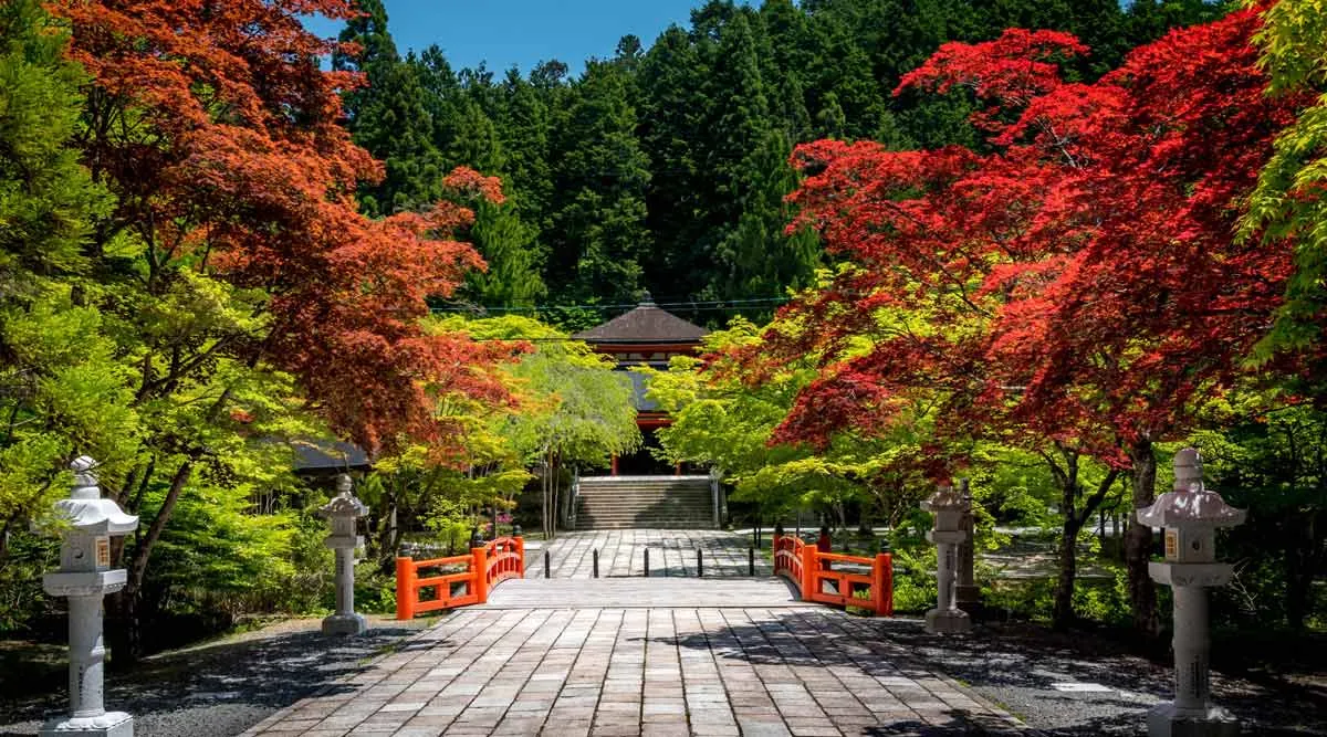 Mt Koya Escapade from Kyoto