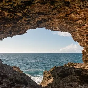 Animal Flower Cave
