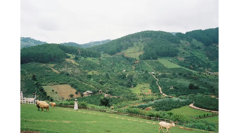 Rincon De La Vieja