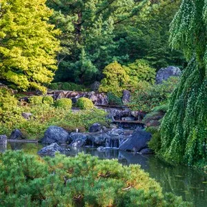 Montreal Botanical Garden