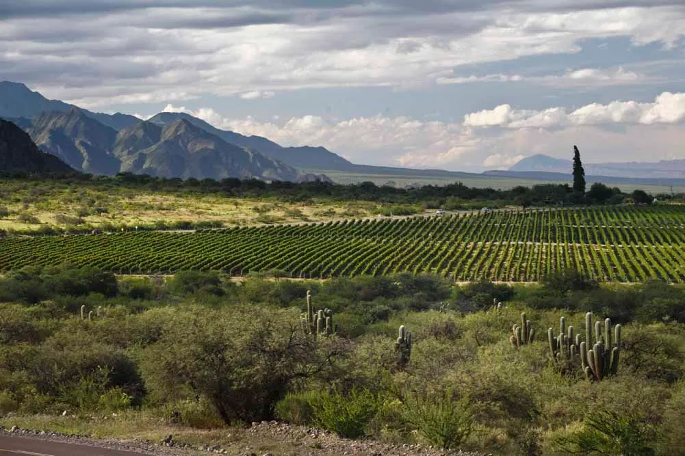 Salta