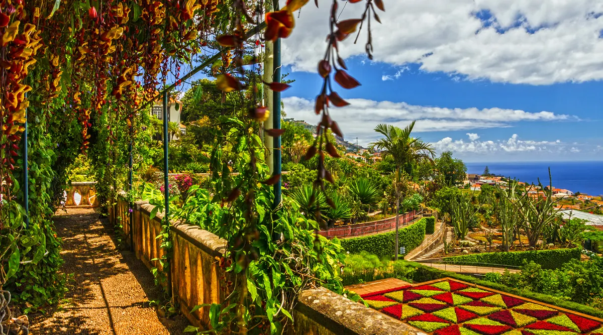 Portugal Madeira and the Canary Islands Private Journey