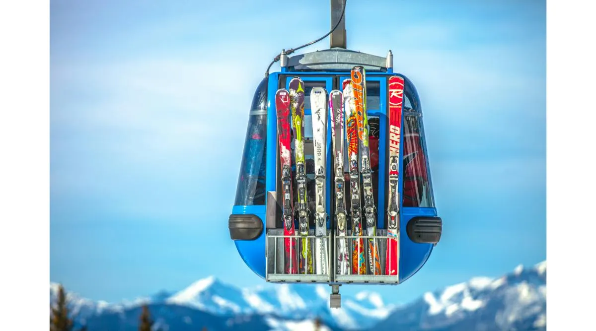 Andean Elegance: An Argentine Adventure in Culture, Ski and Wine