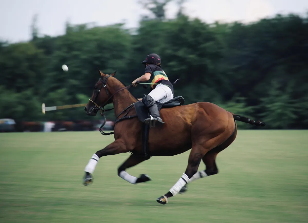 Argentina Horseback Explorer