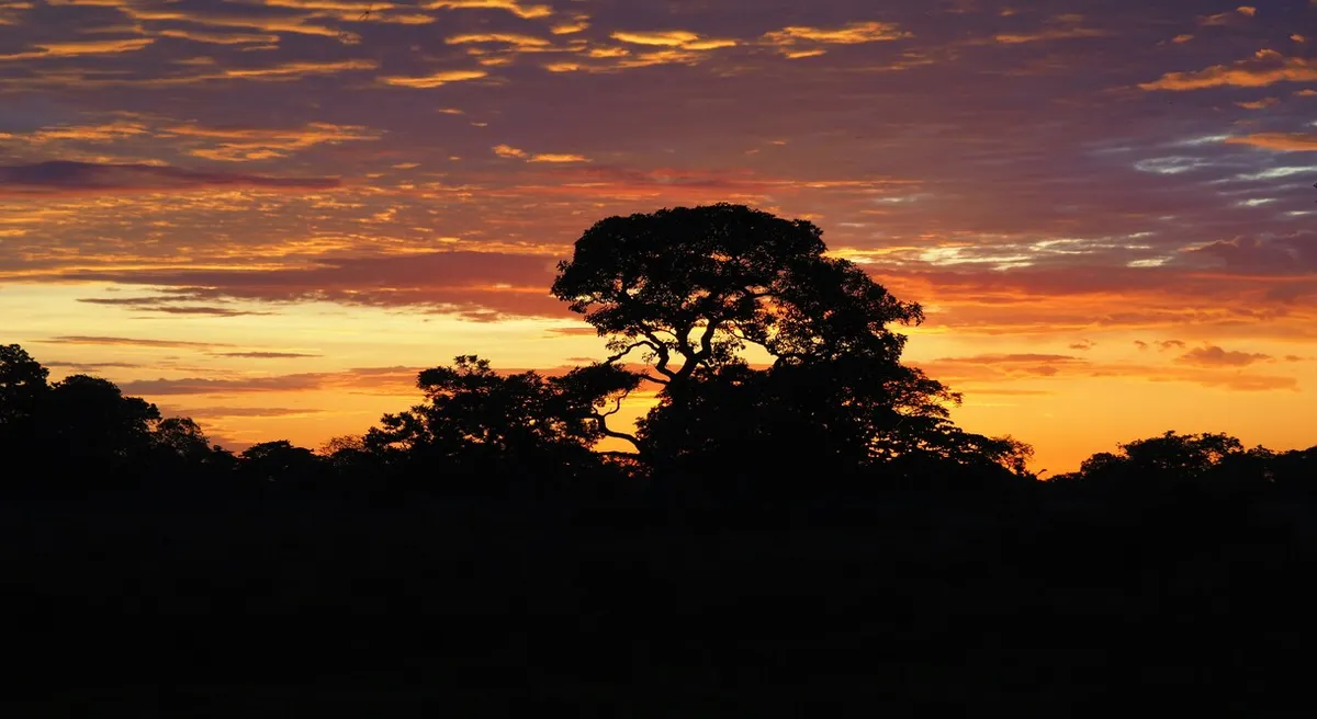 Best of Brazil Amazon Rio and Iguacu Explorer