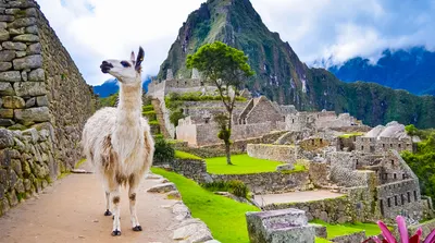 Peru Machu Picchu and Amazon Adventure