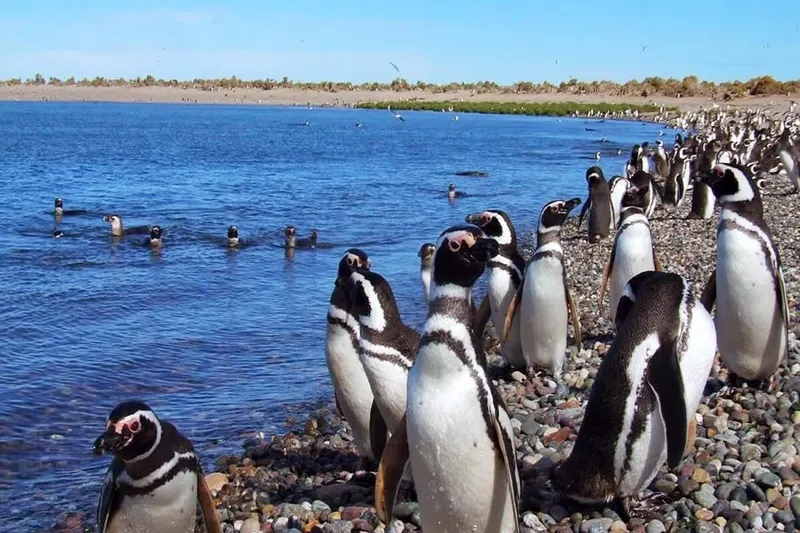 Puerto Madryn