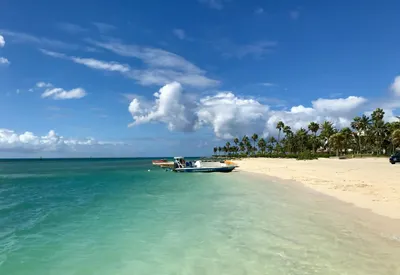 Aruba Discovery