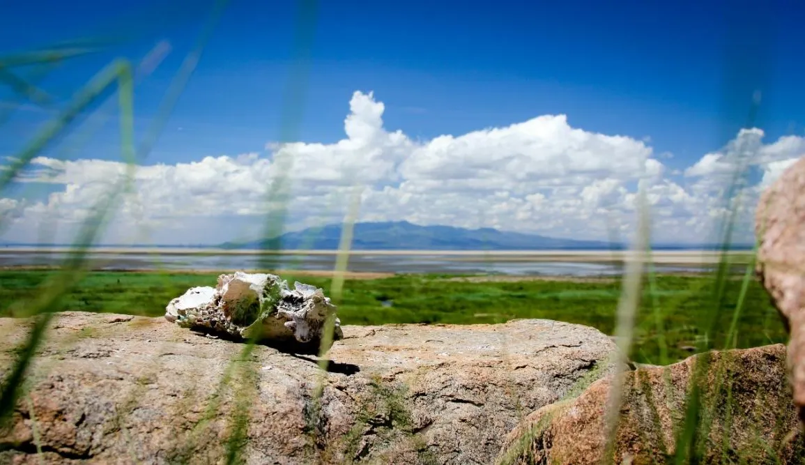 A Taste of Tanzania