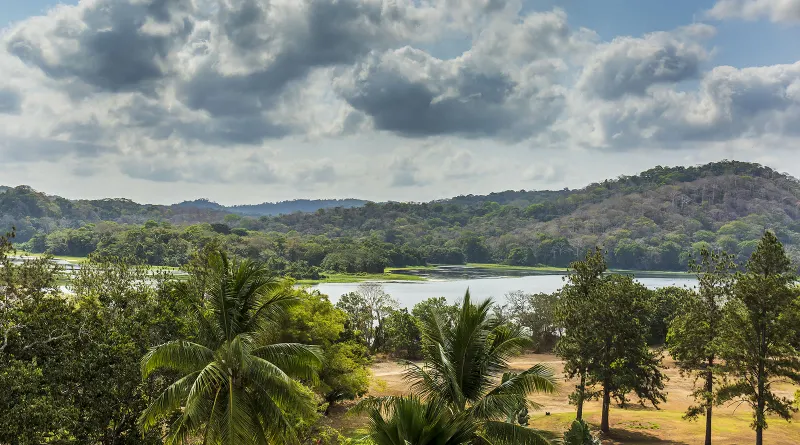 Gamboa