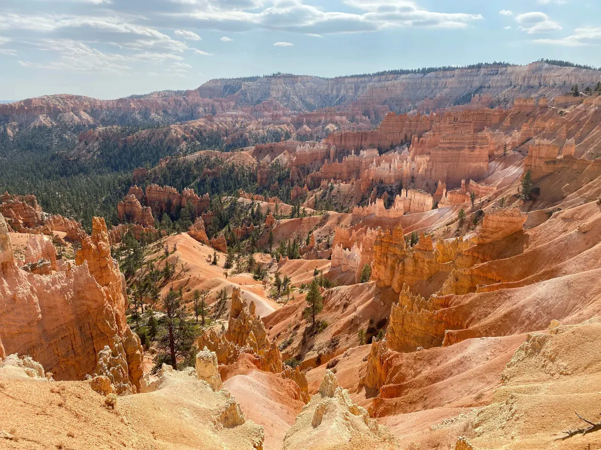 National Parks and Rockies To The Red Rocks Great Rail Journey