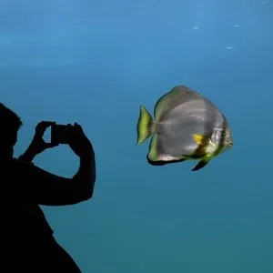 Aquarium