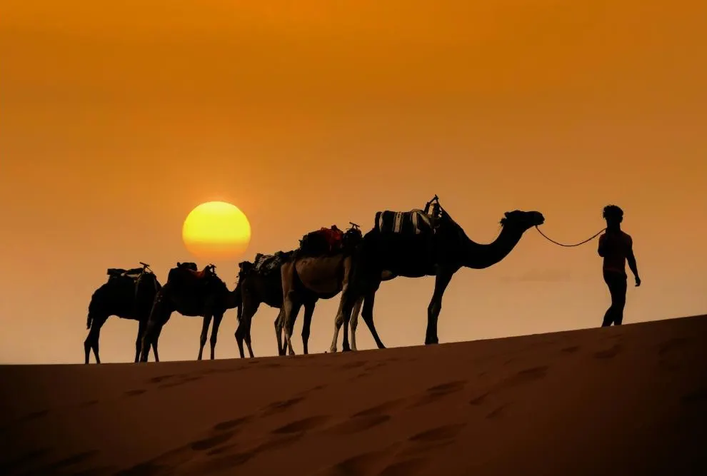 Imperial Cities and Cultural Treasures of Morocco Private Journey