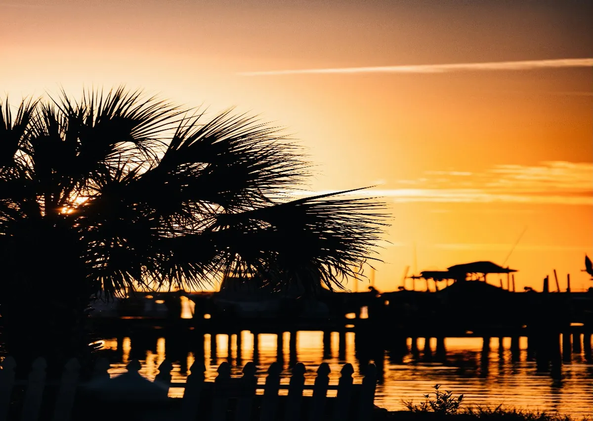 Tampa Pre or Post Cruise