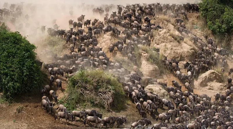 Kilimanjaro National Park