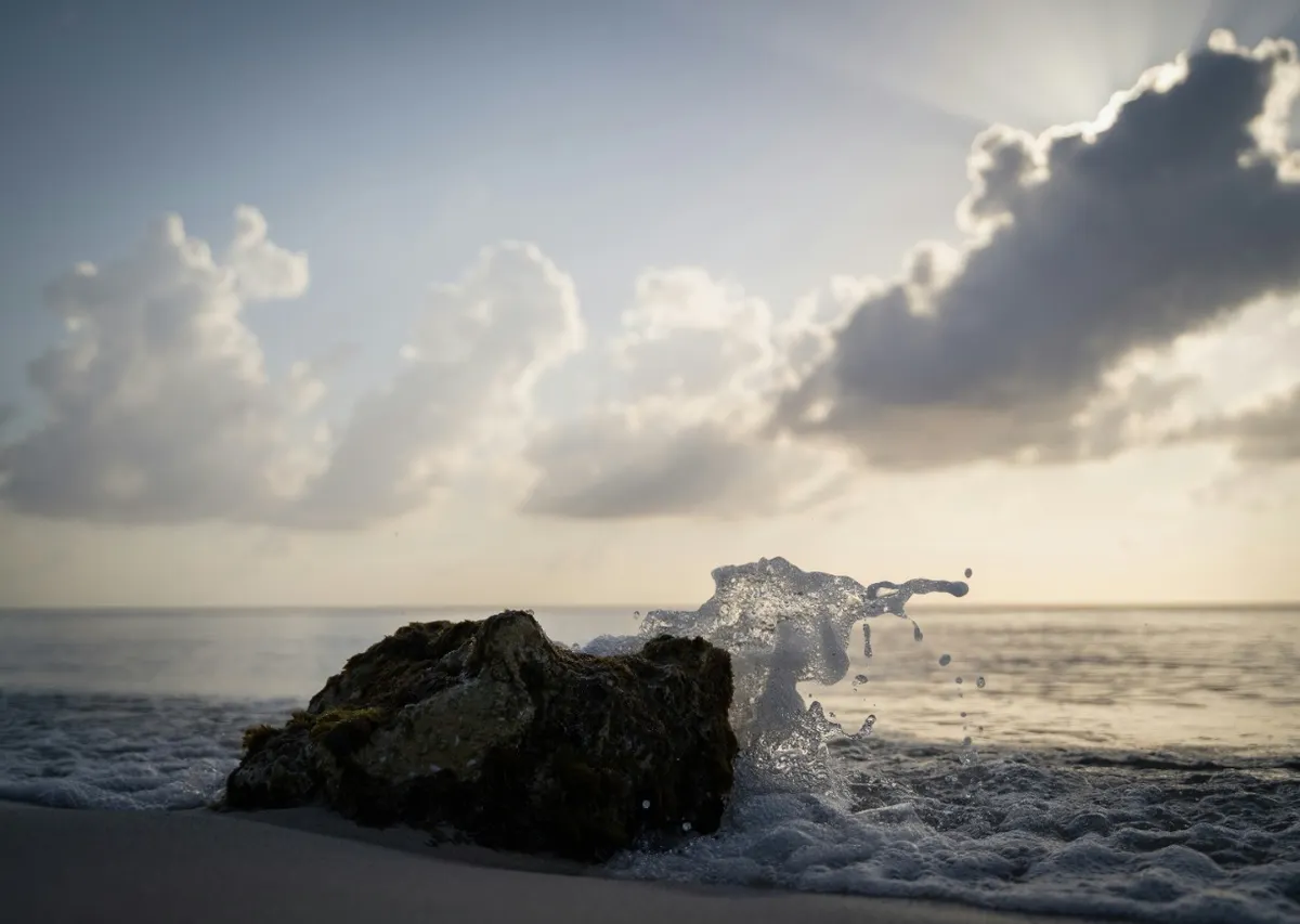 Cozumel Pre or Post Cruise