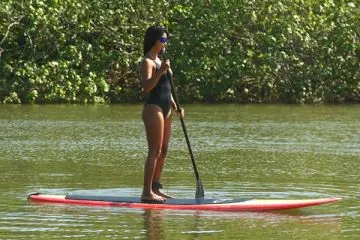 Best of Panama Explorer