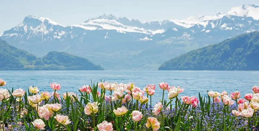 Switzerland Panorama