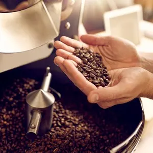 Café Allegro