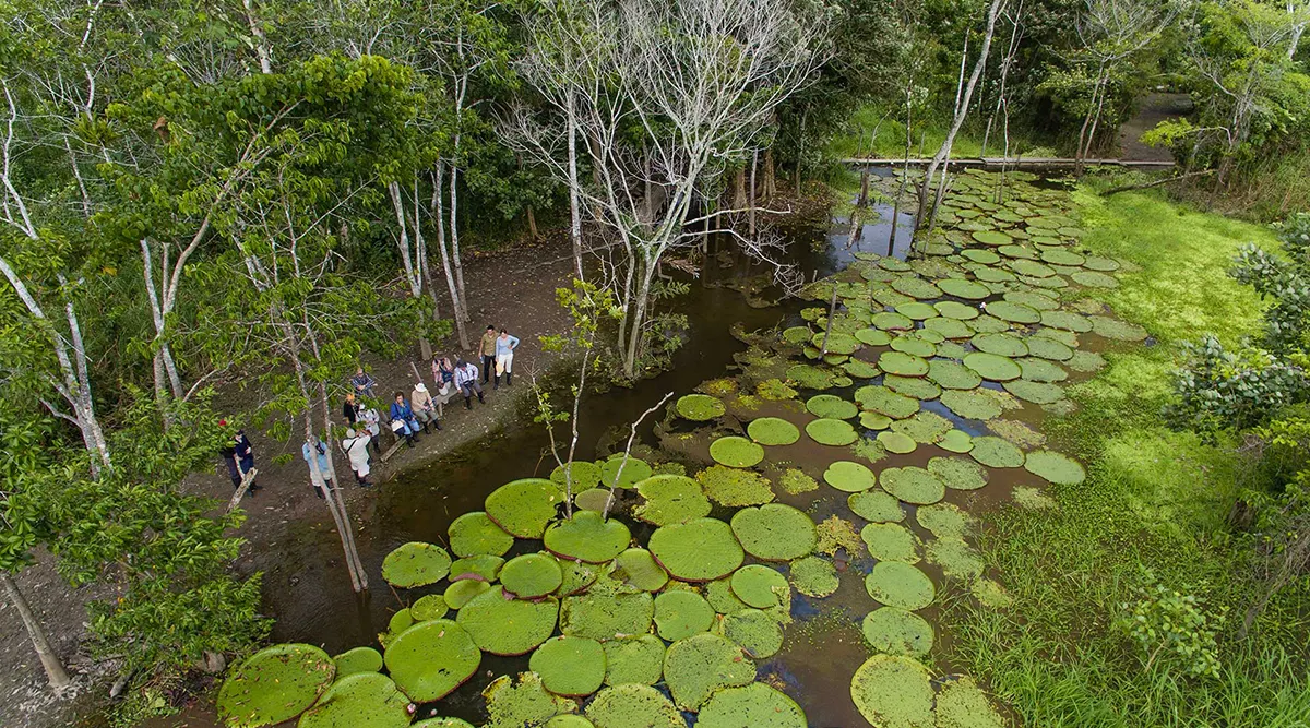 Ultimate Amazon River Cruise Explore Pacaya Samiria & Machu Picchu Adventure