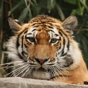 Hagenbeck Zoo — the Wild Side of Hamburg