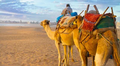Legendary Morocco Adventure