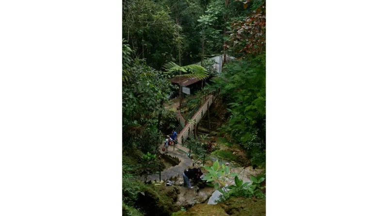 Rincon De La Vieja