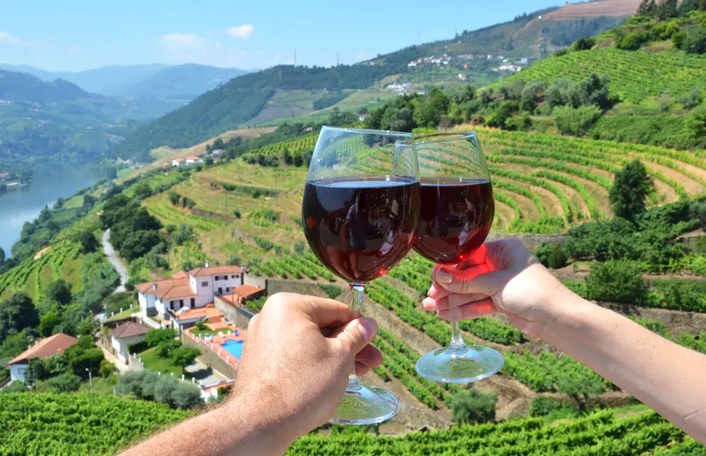 Portugal Wine Region and Santiago De Compostela Private Journey