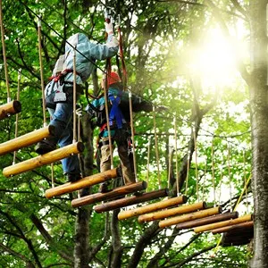 Forestal Park
