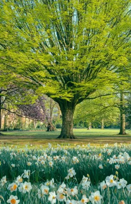 Private Journey through Regency Era London