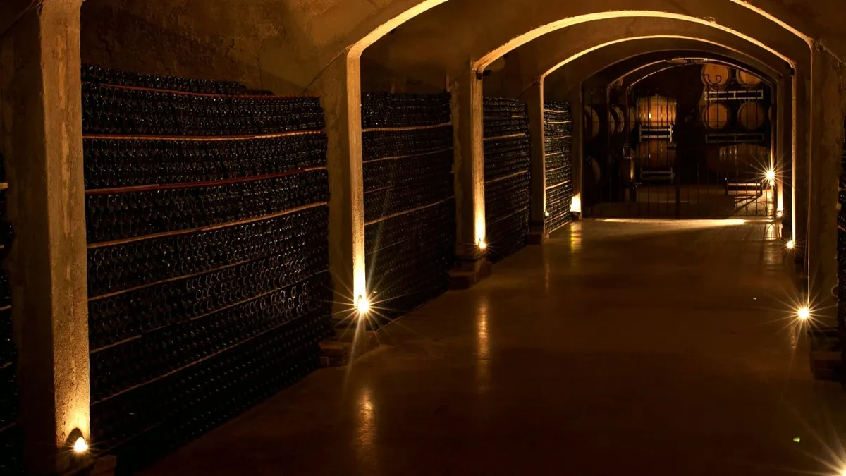 Andean Wine and Culinary Explorer