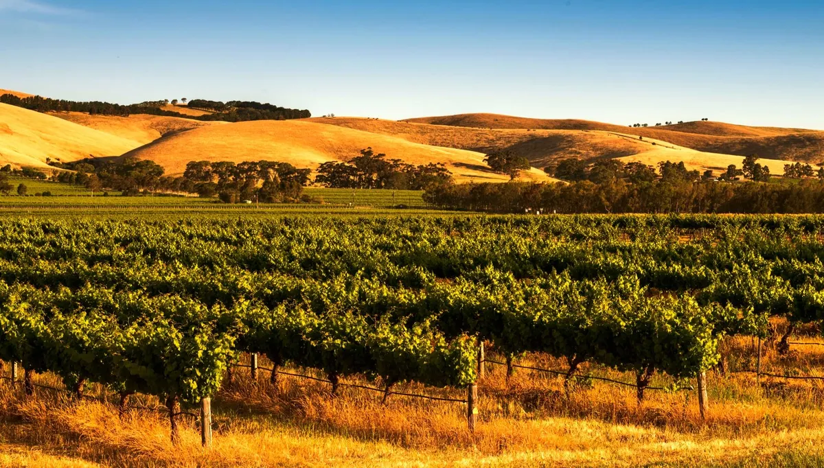 Australian Wine Triangle