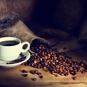 Higher Ground Cafe