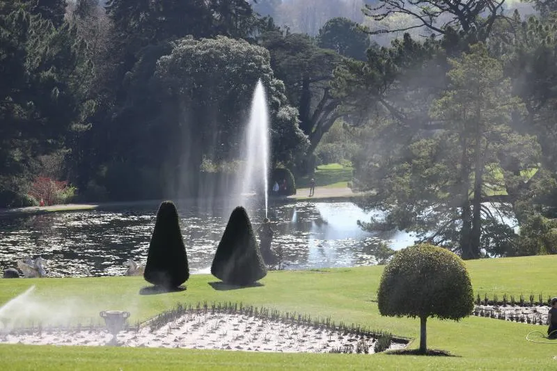 Private Journey to the Gardens of Ireland in Autumn