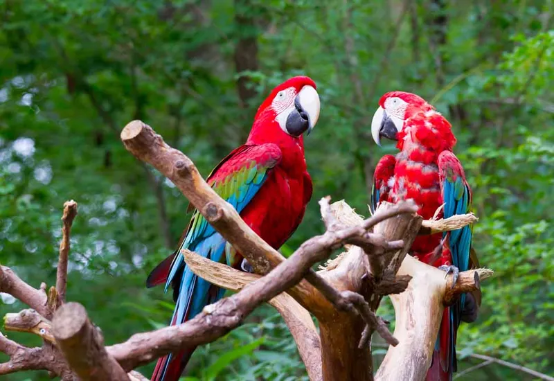 Costa Rica