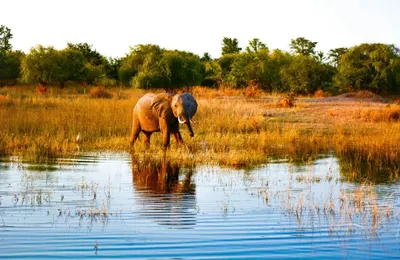 Zambezi River and Lake Kariba Cruise