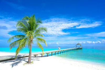 Tahiti Paradise Private Journey