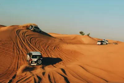 Liwa Oasis