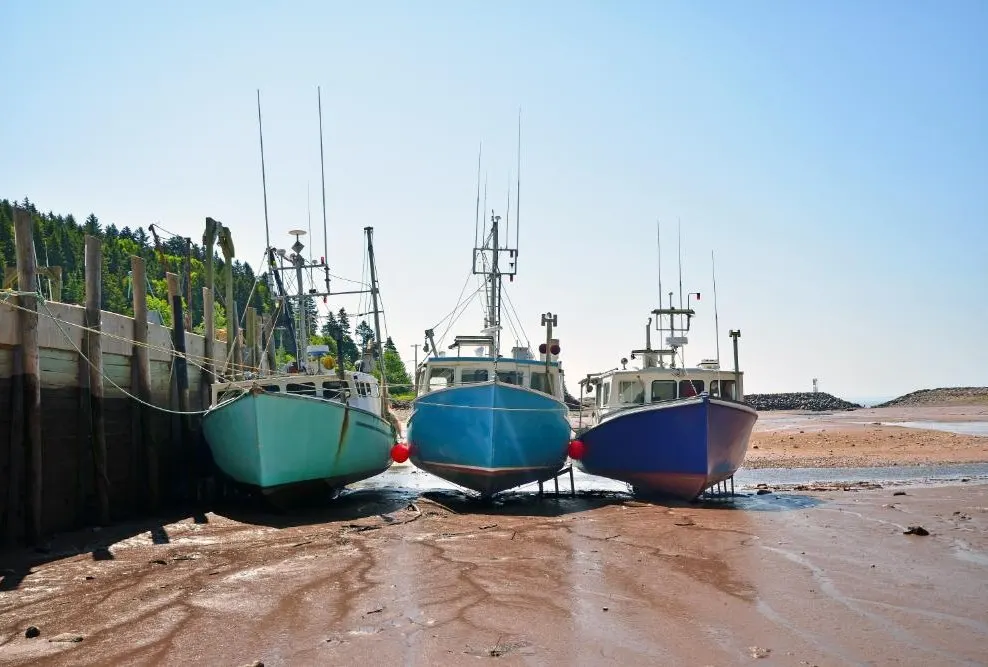 New Brunswick