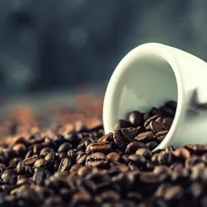 Coffee. Coffee beans. Coffee cup full of coffee beans. Toned image.