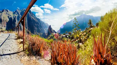 Tenerife Canary Islands Escapade